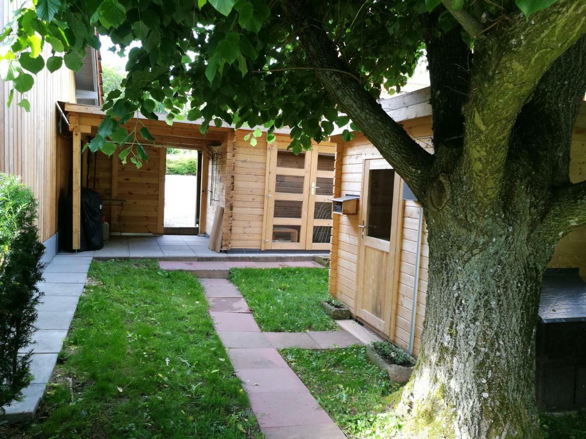 Ferienhaus Glucksmoment Grasellenbach المظهر الخارجي الصورة
