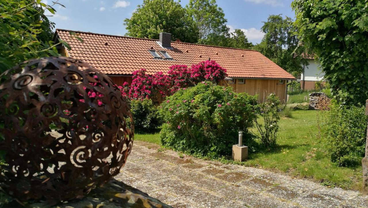 Ferienhaus Glucksmoment Grasellenbach المظهر الخارجي الصورة