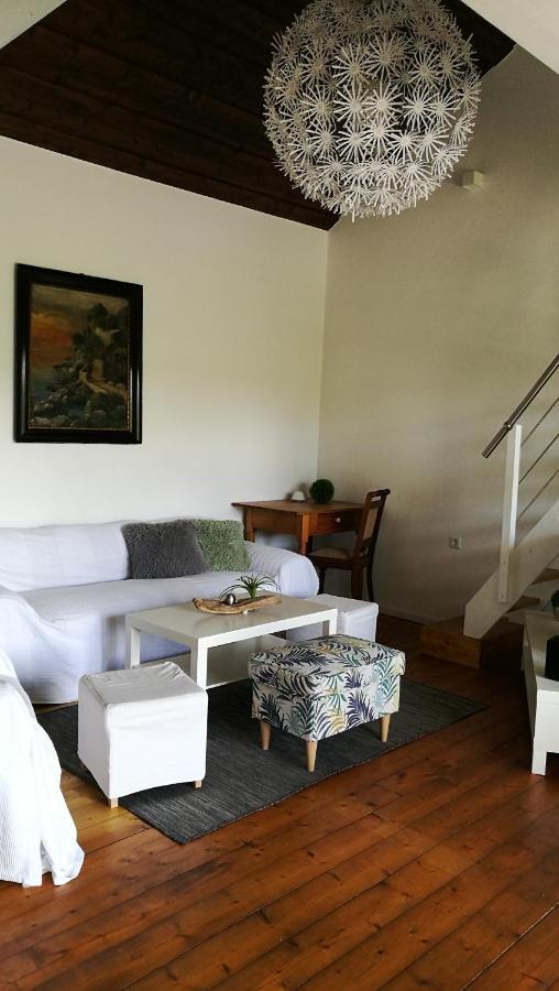 Ferienhaus Glucksmoment Grasellenbach المظهر الخارجي الصورة